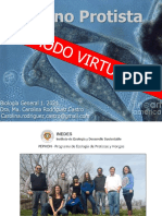 Reino Protista VIRTUAL ALUMNXS PDF