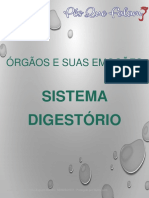 Órgãos e emoções do sistema digestório