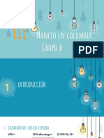 LIE - Manejo en Colombia PDF