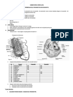 LKS PROKARIOTIK DAN EUKARIOTIK Kls XI Edit