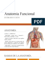 Clase 1 Anatomia Funcional