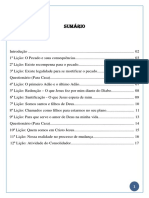 Primeiros Passos - Consolidação PDF
