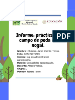 Informe de Parctica de Poda de Nogal