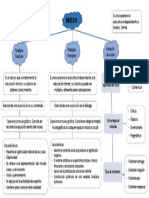 Mapa Conceptual de Historia