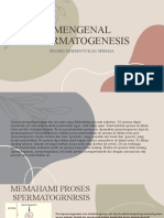 Mengenal Spermatogenesis