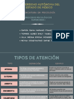 Tipos de Atención PDF