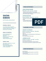 Blue and Grey Software Developer Technology Resume PDF