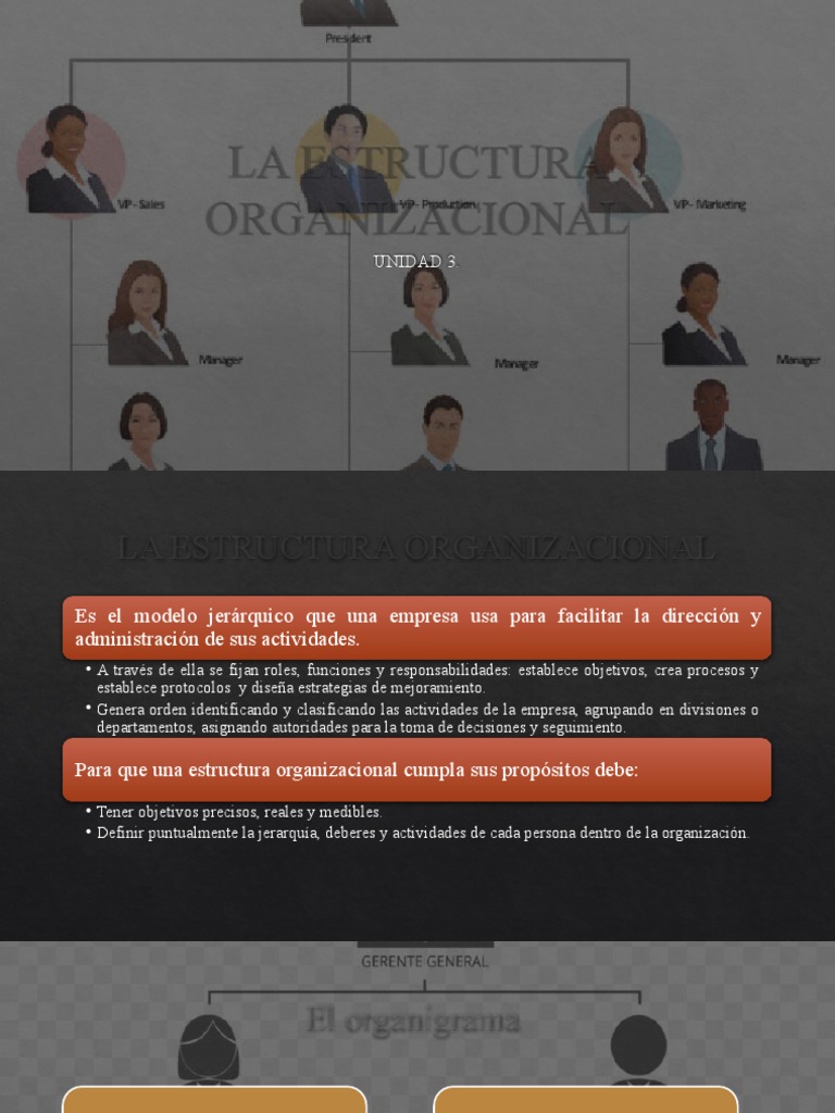 LA ESTRUCTURA ORGANIZACIONAL s3 | PDF | Business | Economias