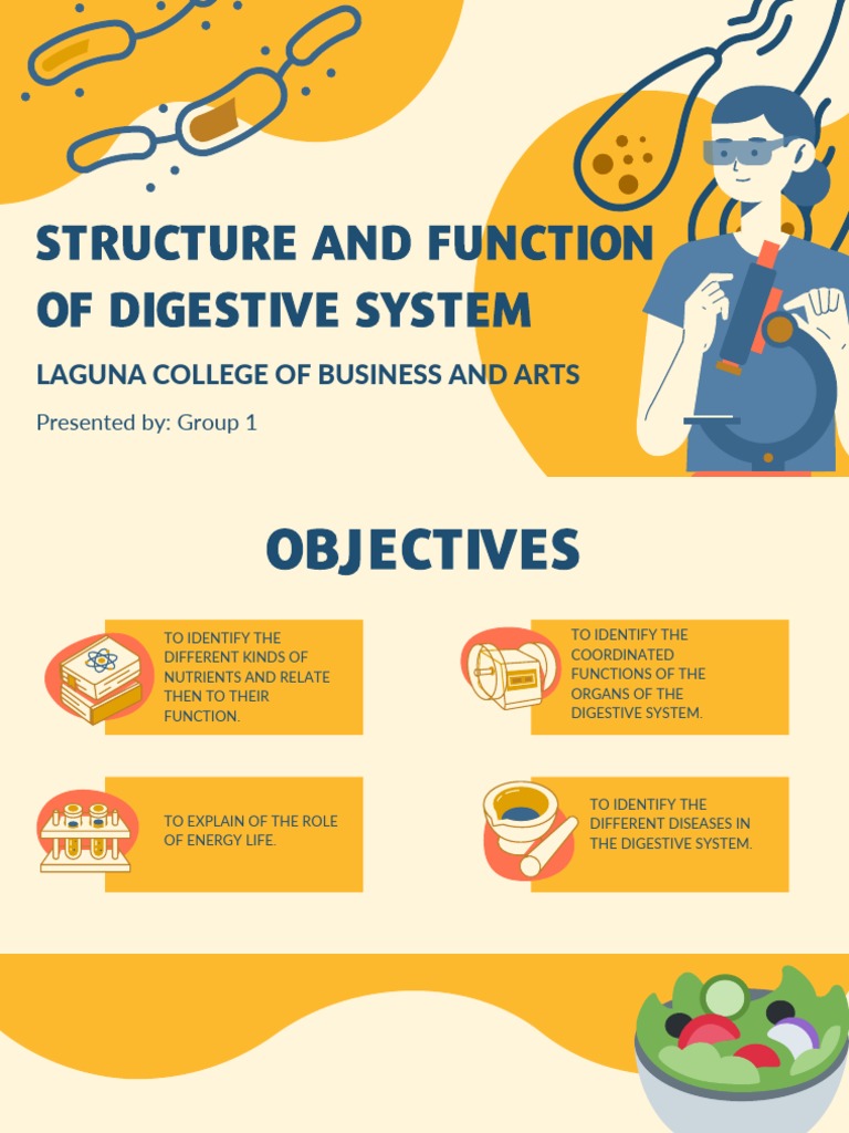 Group 1 Digestive System PDF | PDF | Human Digestive System | Large ...