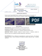 Reporte Dermatologico Kalu PDF