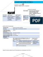 Fisiología Respiratoria