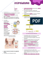 Hipotiroidismo: causas, síntomas y tratamiento