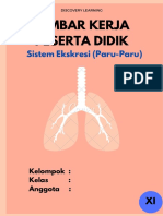 Sistem Ekskresi Paru-Paru