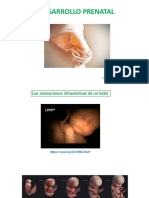 Desarrollo Prenatal UPCH 2022 Control Motor PDF