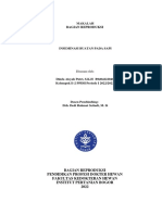 Makalah Ib Sapi Dinda PDF