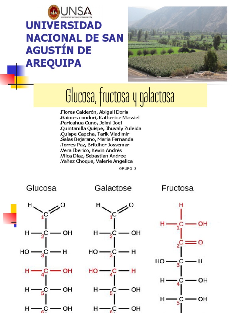 Understanding Galactosemia in Pediatric Medicine, image size:768x1024