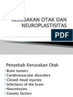 KERUSAKAN OTAK DAN NEUROPLASTISITAS Biopsikologi 2018