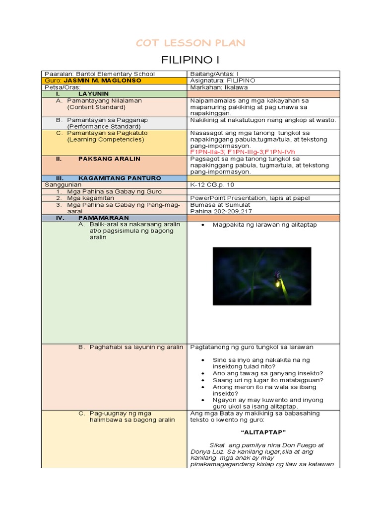 Cot Lesson Plan | PDF