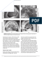 (Terjemah) Cleft Palate Craniofacial Anomalies - Effects On Speech and Resonance
