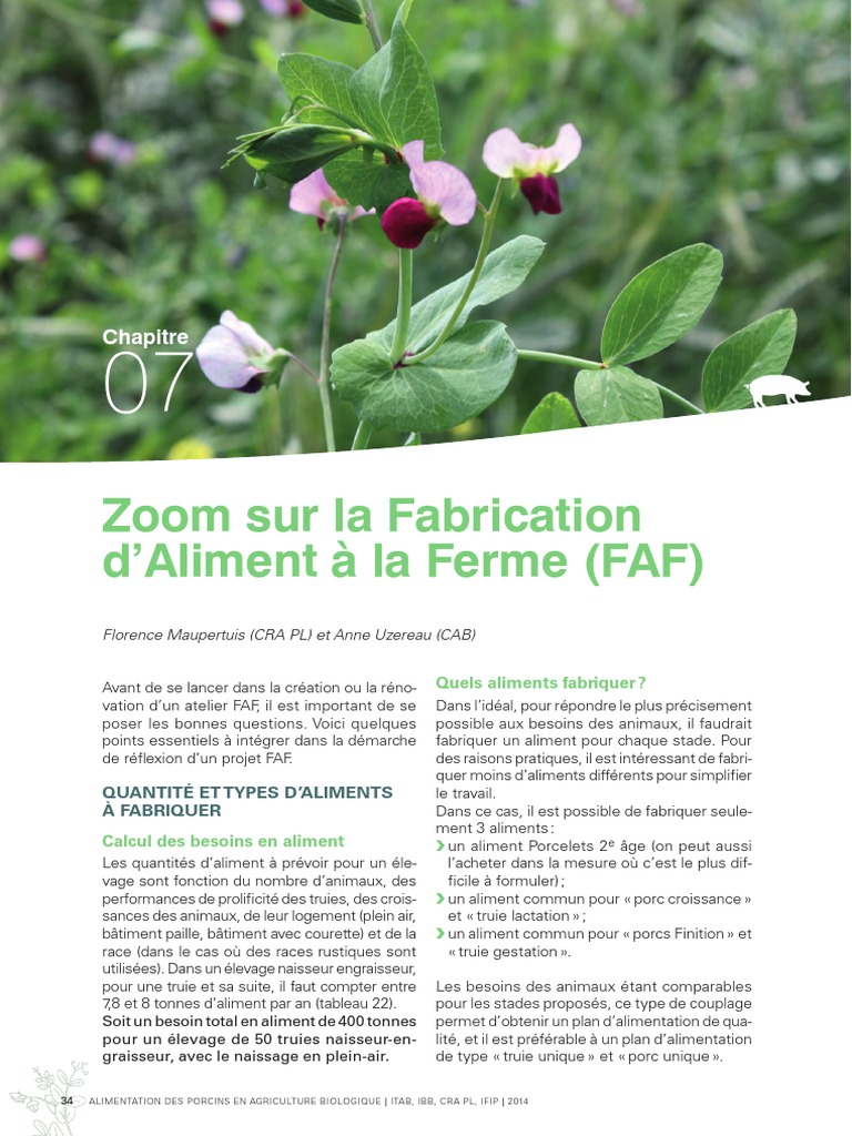 Alimentation des Porcs en Bio: Guide FAF | PDF | Cochon | Agriculture ...