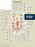 9 Concept Map Digestive System PDF