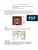 Sistema Estomatognatico