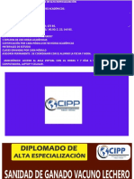 Diplomado de Alta Especialización - Cipp - 01 Marzo 2023 PDF