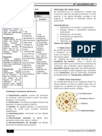 Anatomía Semana 2