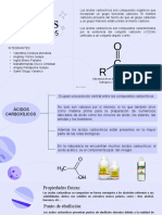 Los Ácidos Carboxílicos - GRUPO 2