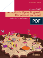 Informe 2010 - Territorios Indígena Originario Campesinos.pdf