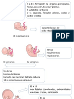 Desarrollo SSF Etal