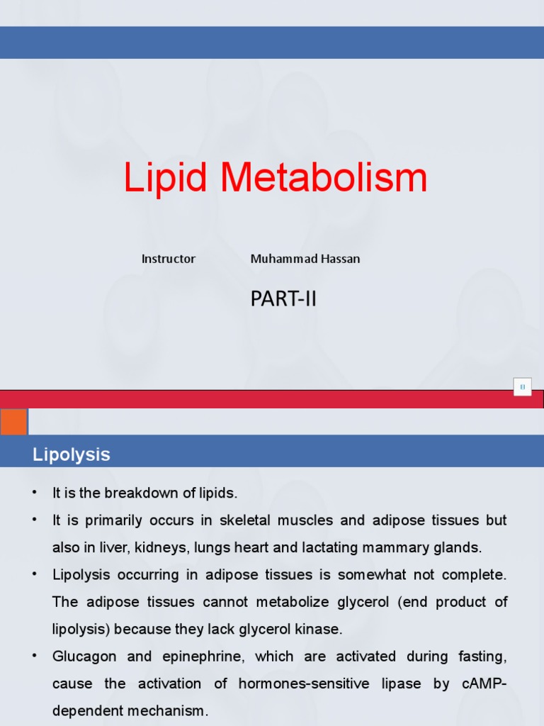 Lipid Metabolism and Lipolysis Overview | PDF | Fatty Acid | Biochemistry
