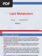 Lecture 7.3 Lipid Metabolism