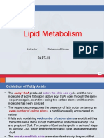 Lecture 7.3 Lipid Metabolism