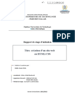 Rapport de Stage D'initiation