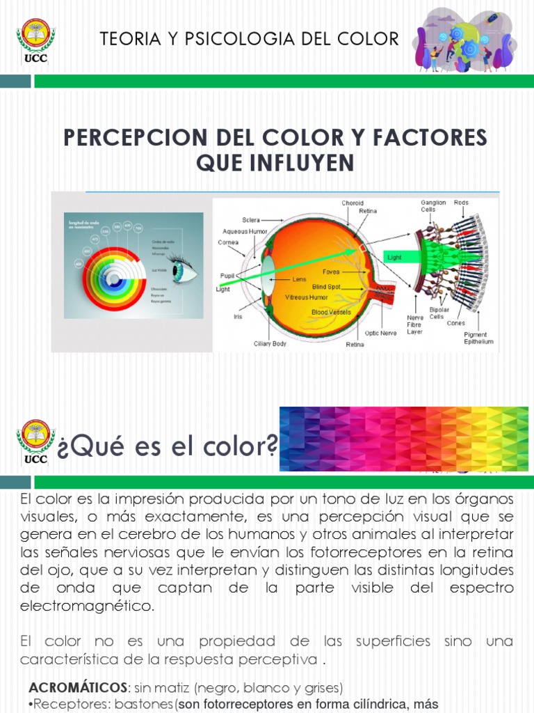 Percepción del Color y sus Factores | PDF | Color | Pigmento