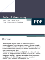 Județul Maramureș