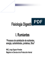Nutricion Rumiantes 1 PDF