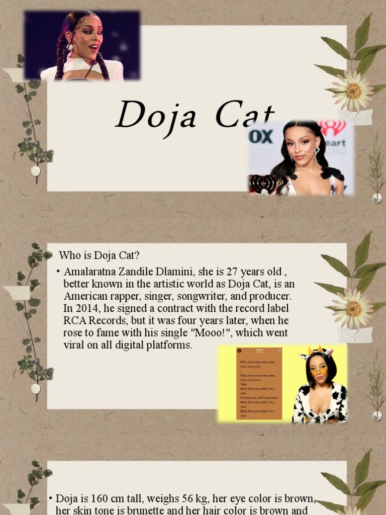 Doja Cat: Biography and Achievements | PDF