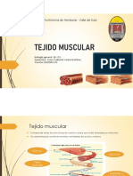 Tejidos Musculares