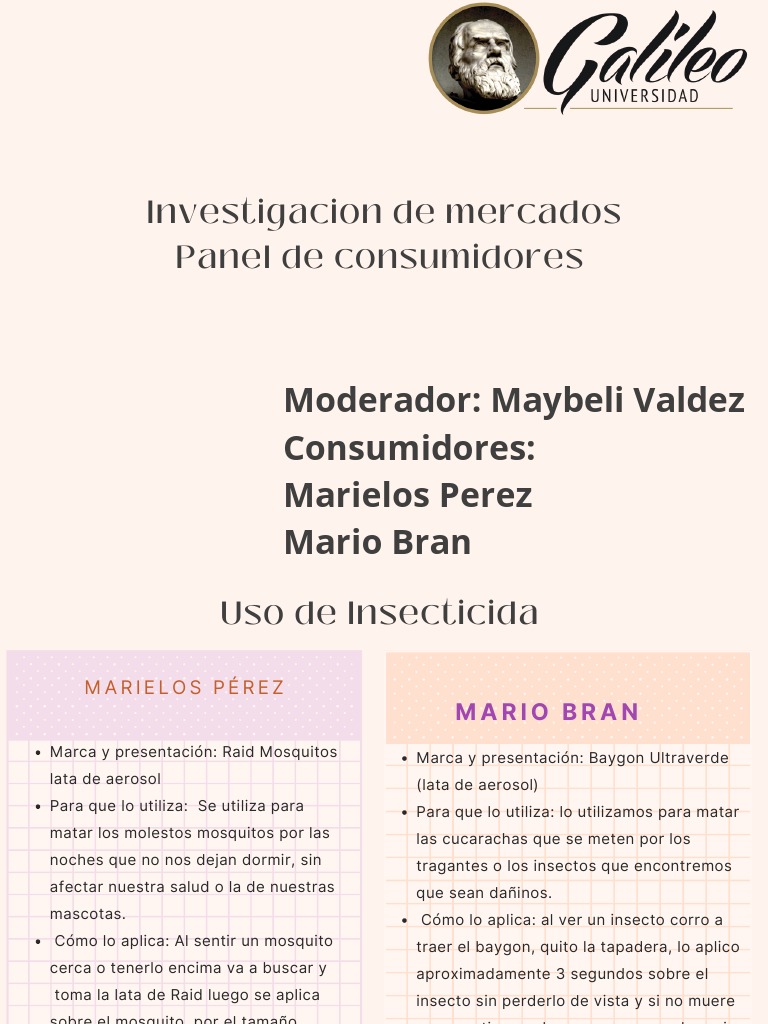 Panel de Consumidores PDF