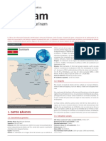 Surinam - Ficha Pais PDF
