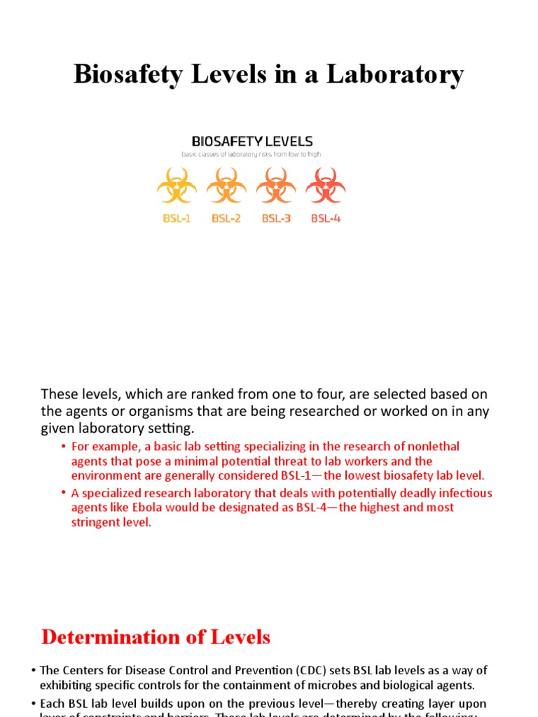 Bsl levels in a lab pdf causes of death medicine