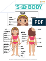 Parts Body Worksheet PDF