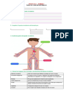 Material CCNN Semana 3