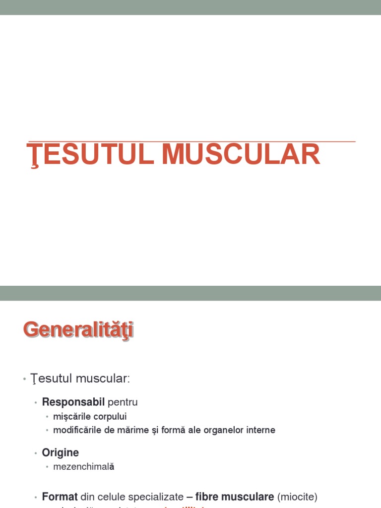 Tesutul Muscular Scheletic - BFK - 2022 PDF | PDF