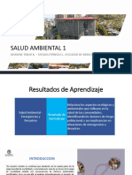 Clase 1 Salud Ambiental 1