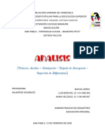 Análisis Luis-Anais PDF