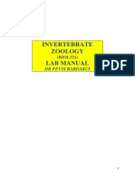 Practical Guide Invertebrates PDF