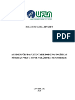 Dimensões da sustentabilidade no PEDSA moçambicano